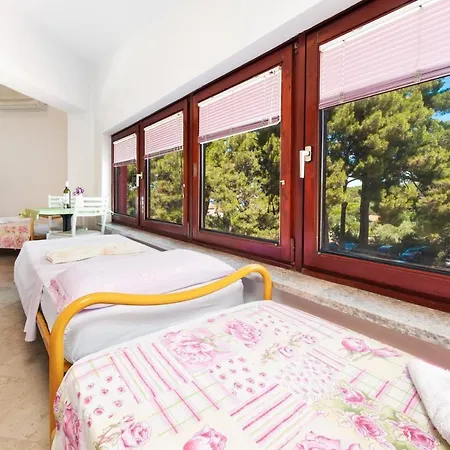 Near And Center 4 * Rovinj